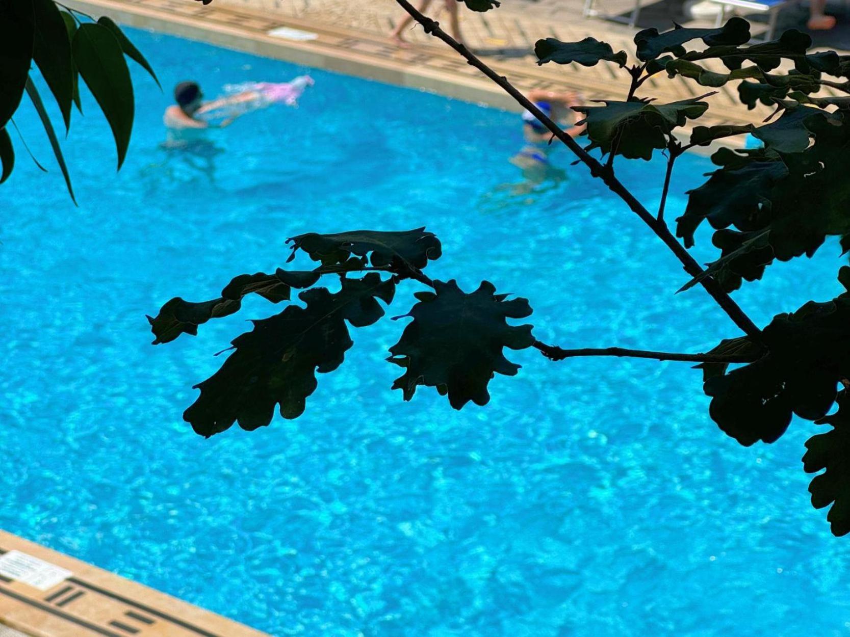 Village Camping Santa Fortunata - Campogaio Sorrento Ngoại thất bức ảnh